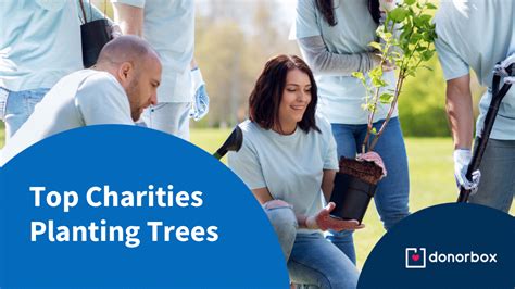 best tree planting organizations|9 Best Charities for Reforestation (Complete 2024 List).